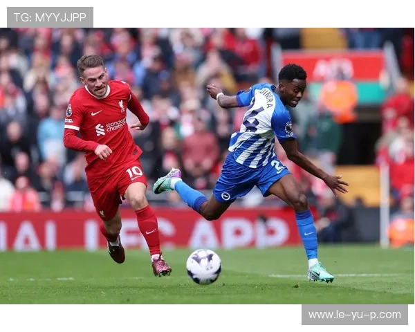 布莱顿新赛季前景被看好或稳中有升 布莱顿新赛季前景被看好或稳中有升